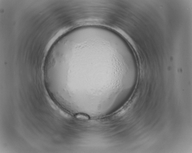 X0000071941341200607281934