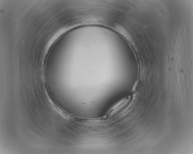 X0000071941342200607281934