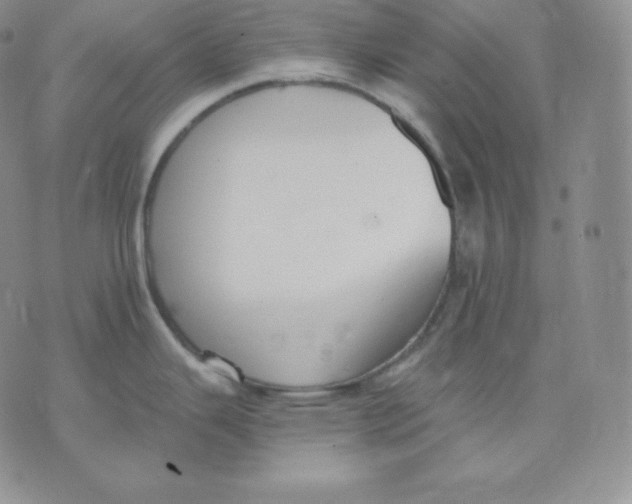 X0000071941343200607281934