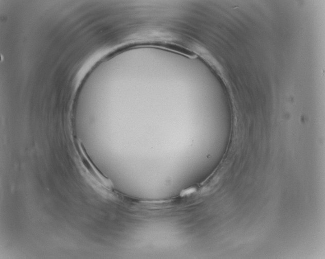 X0000071941344200607281934