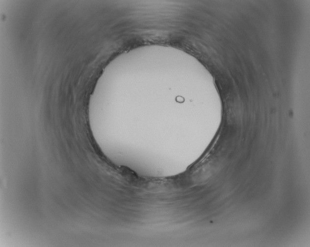 X0000071941345200607281933