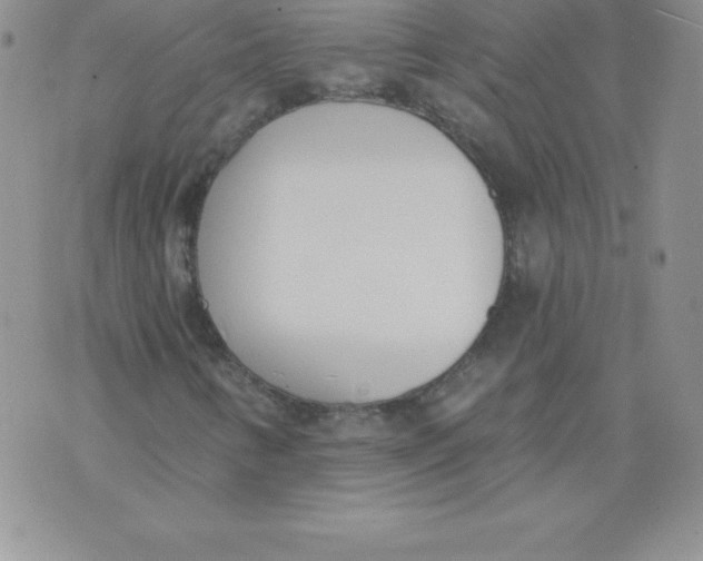 X0000071941346200607281933