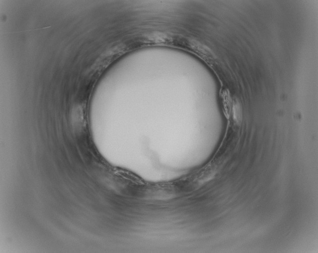 X0000071941347200607281933