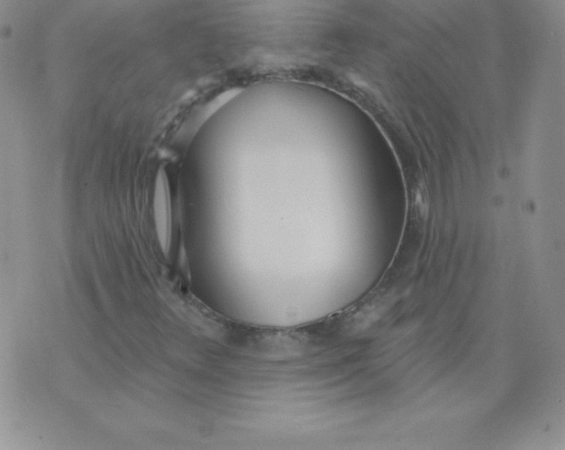 X0000071941348200607281933