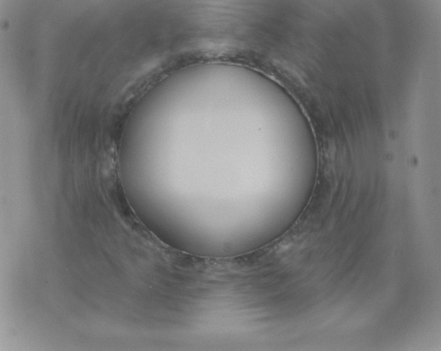 X0000071941349200607281933