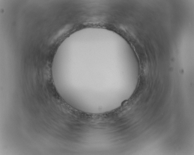 X0000071941350200607281933