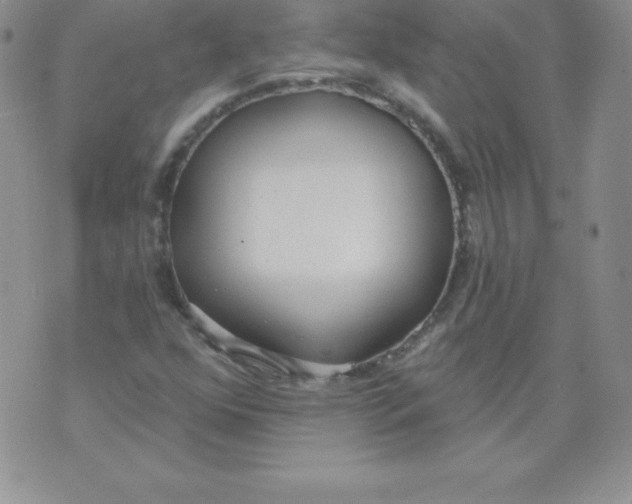 X0000071941352200607281933