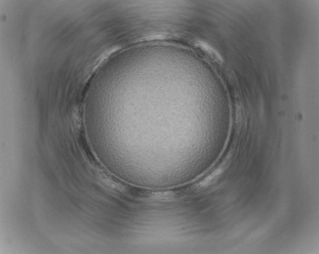 X0000071941353200607281933