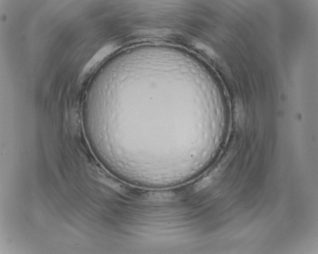 X0000071941354200607281933