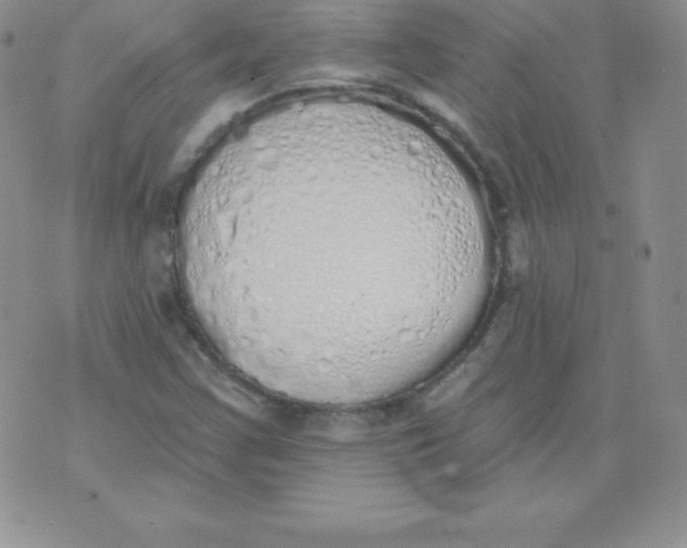 X0000071941355200607281933