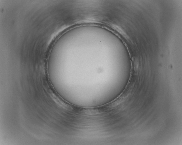 X0000071941356200607281933