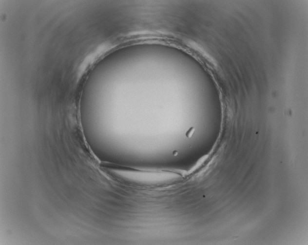 X0000071941357200607281933