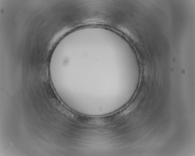 X0000071941358200607281933