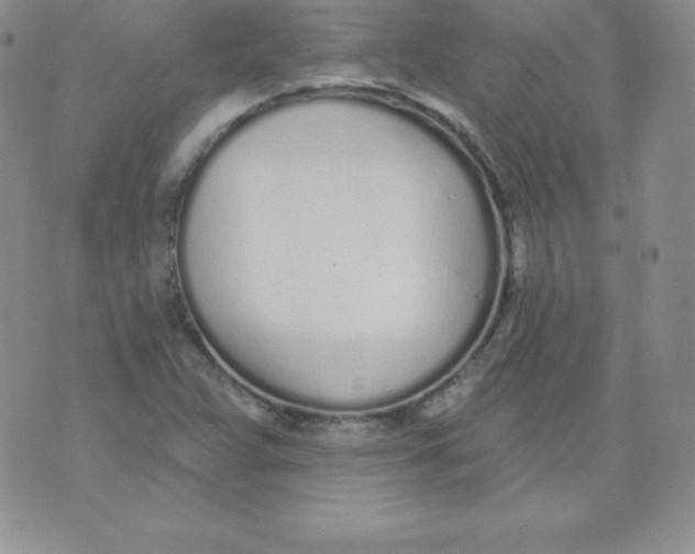 X0000071941359200607281933