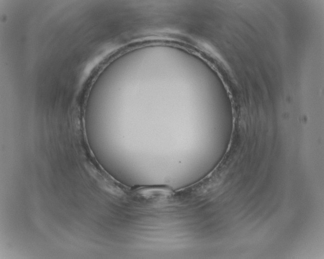 X0000071941360200607281933