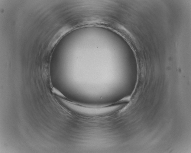 X0000071941361200607281933