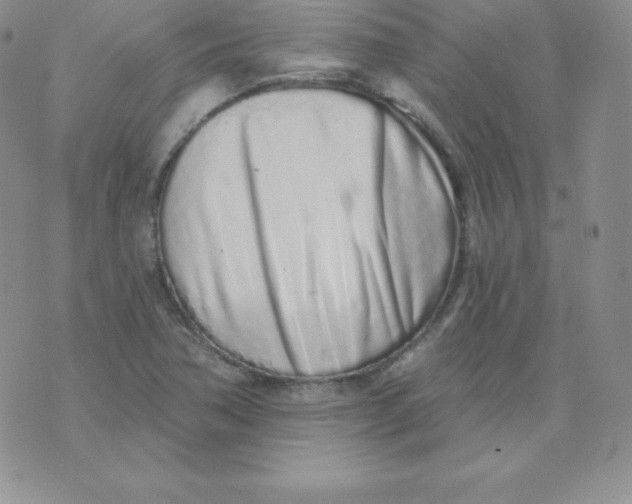 X0000071941362200607281933