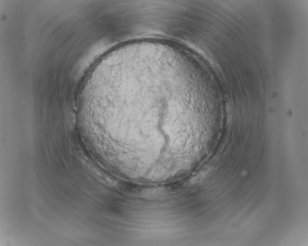 X0000071941363200607281933