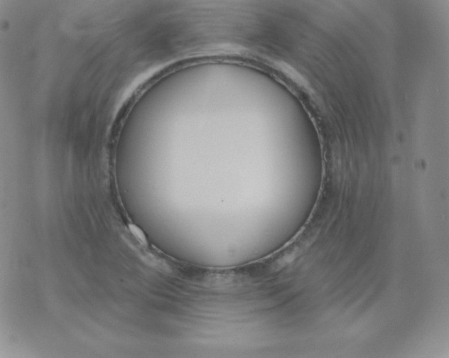 X0000071941364200607281933