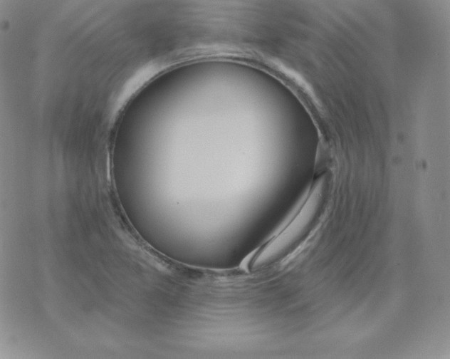 X0000071941365200607281933