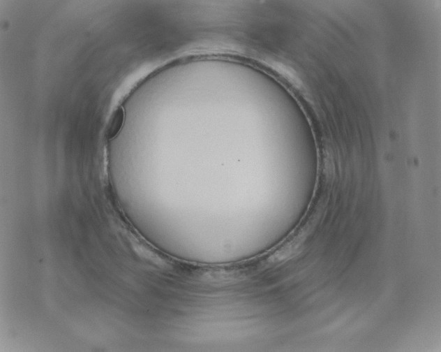 X0000071941366200607281933