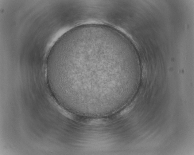 X0000071941367200607281933