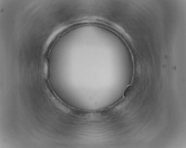 X0000071941368200607281933