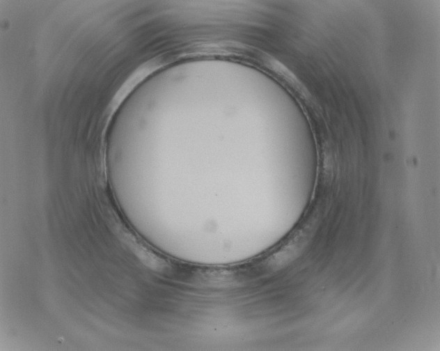 X0000071941370200607281933