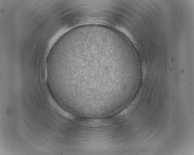 X0000071941371200607281933