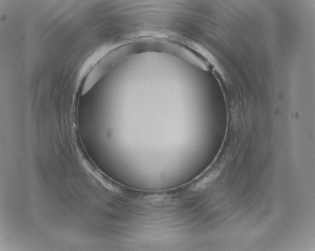 X0000071941373200607281933