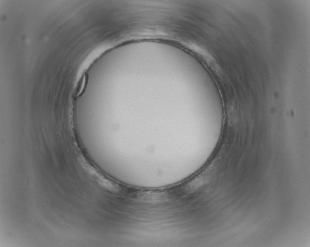 X0000071941374200607281933