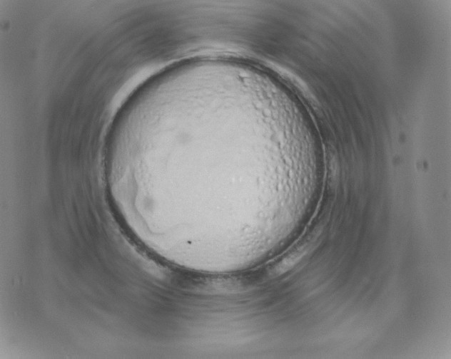 X0000071941375200607281933