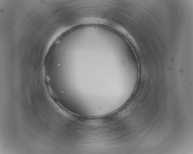 X0000071941376200607281933