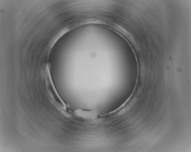 X0000071941377200607281933