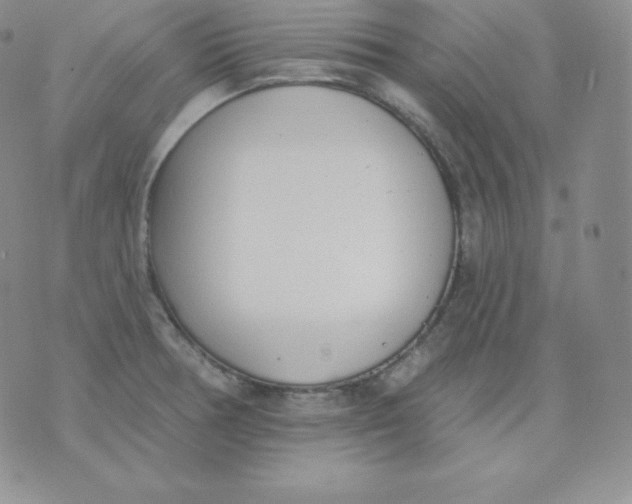 X0000071941378200607281933