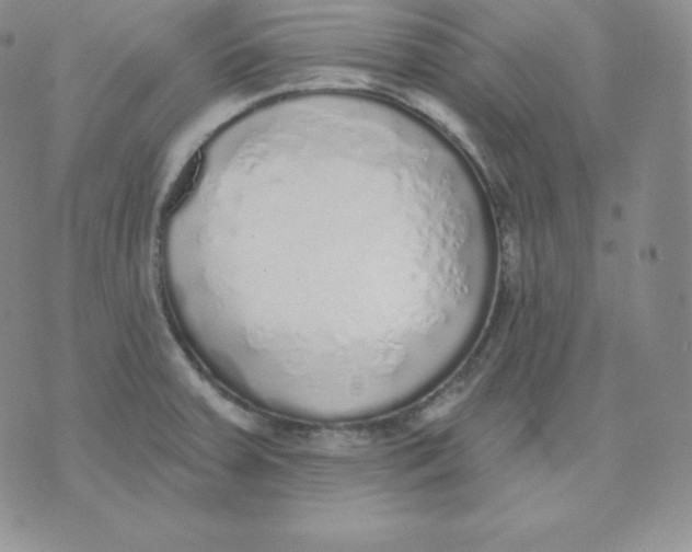 X0000071941379200607281933