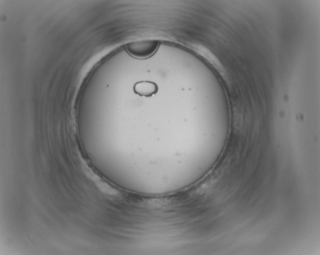 X0000071941380200607281933