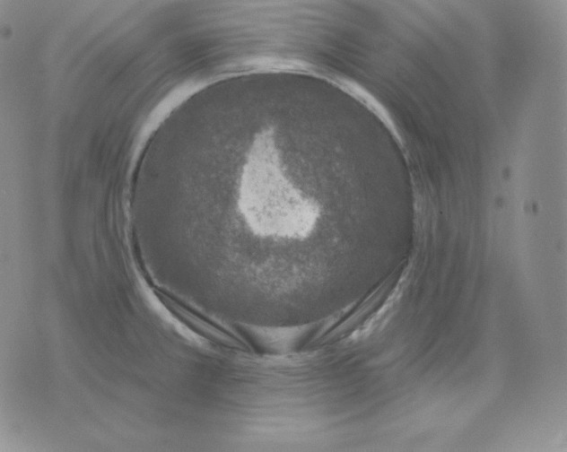 X0000071941381200607281933