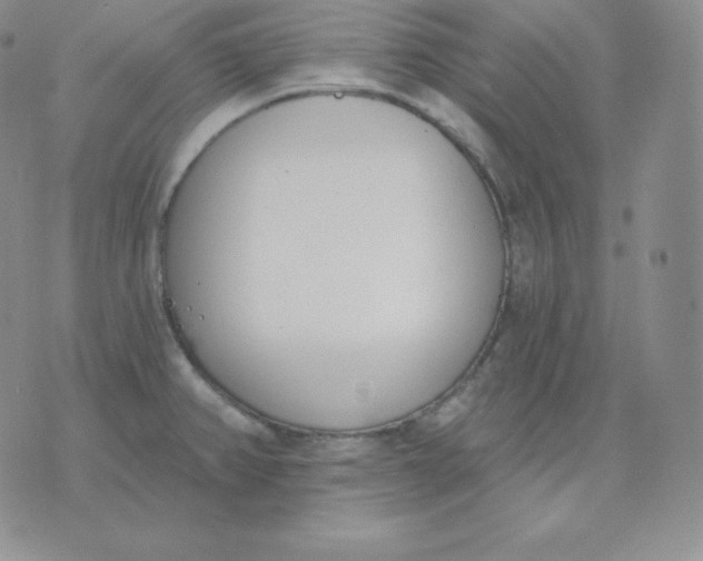 X0000071941382200607281933