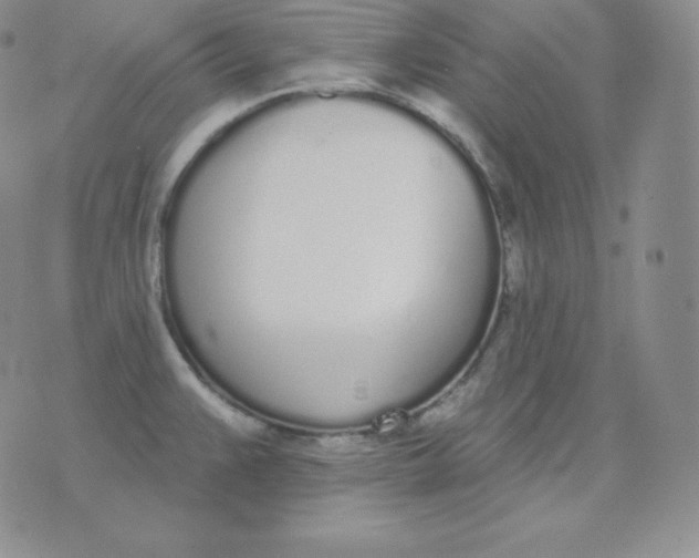 X0000071941383200607281933