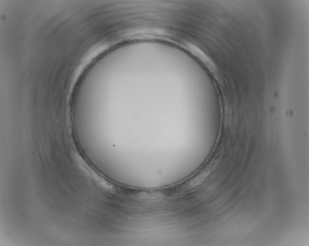 X0000071941384200607281933