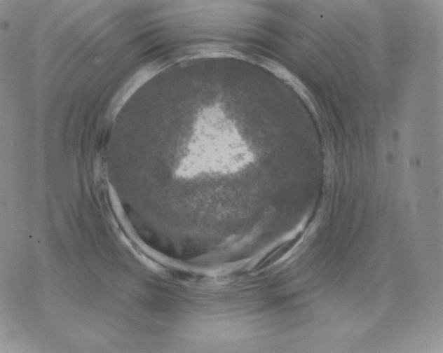 X0000071941385200607281933