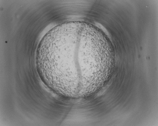 X0000071941386200607281933