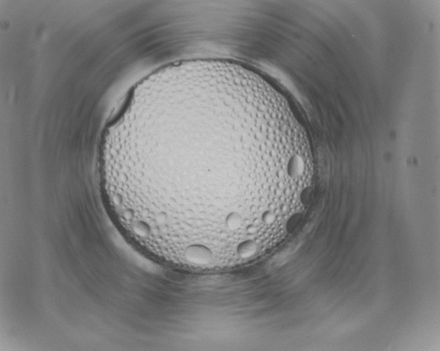 X0000071941387200607281933