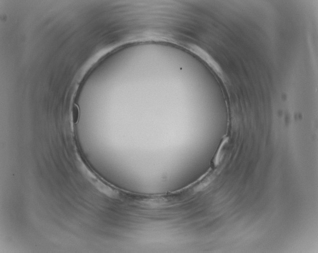 X0000071941388200607281933