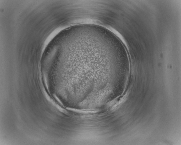 X0000071941389200607281932