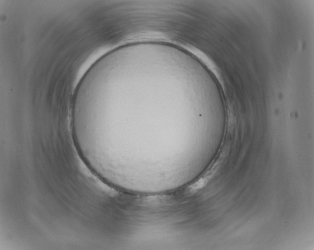 X0000071941390200607281932