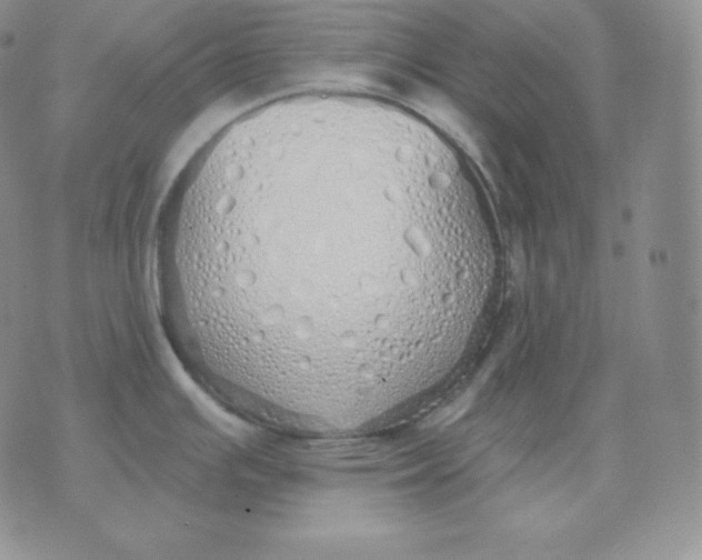 X0000071941391200607281932