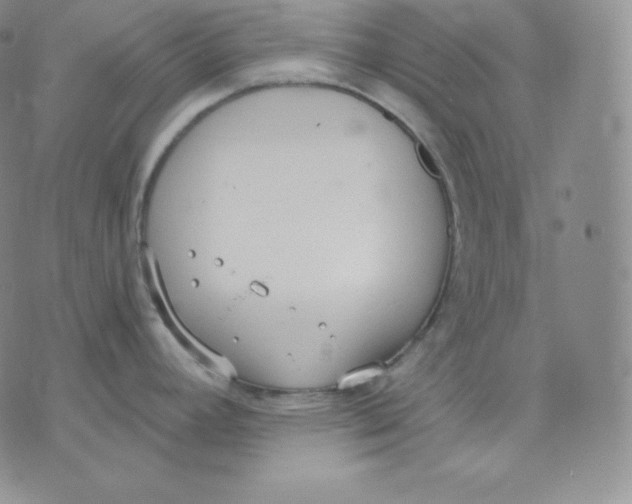 X0000071941392200607281932