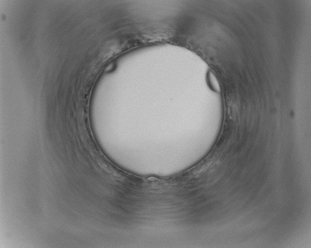 X0000071941393200607281932